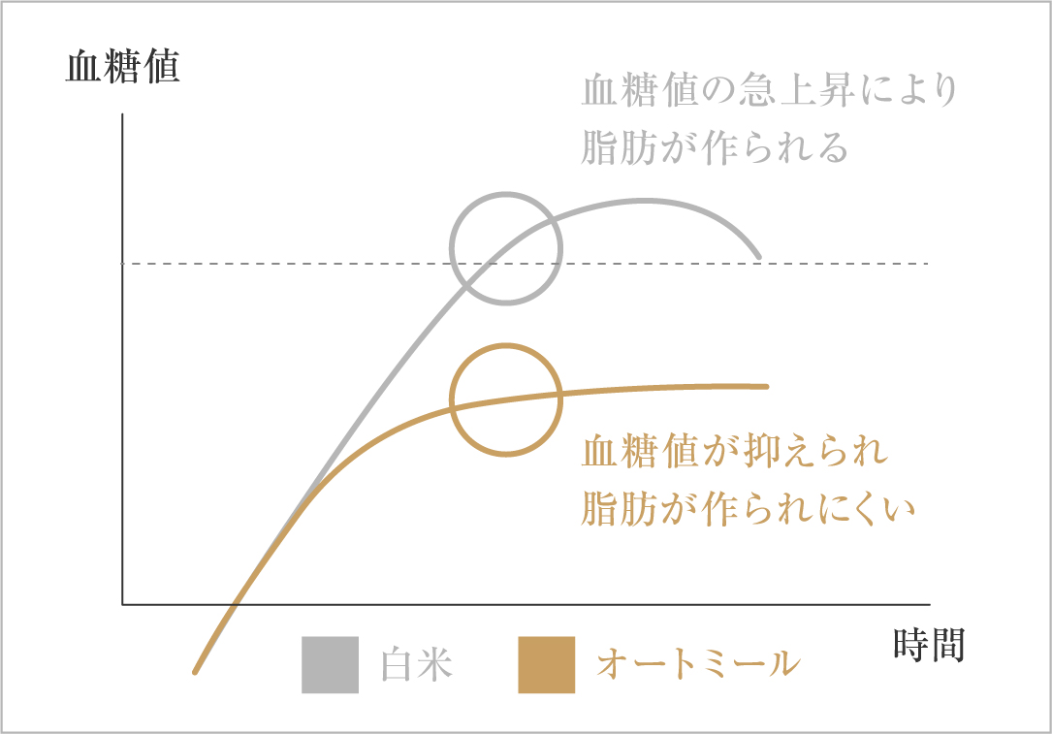 血糖値が抑えられ脂肪が作られにくい