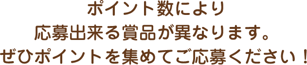 ポイント数により応募出来る賞品が異なります。ぜひポイントを集めてご応募ください！