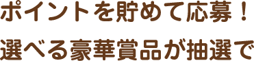 ポイントを貯めて応募！選べる豪華賞品が抽選で