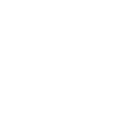 B1