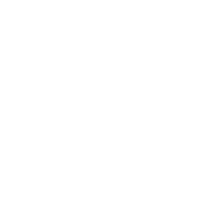 Fe