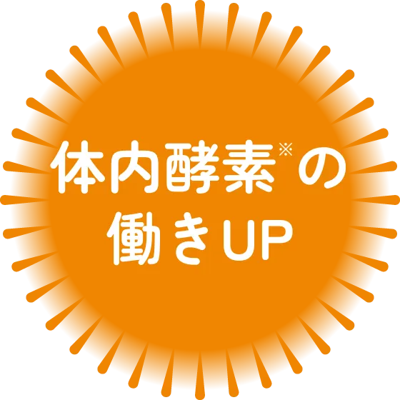 体内酵素の働きUP