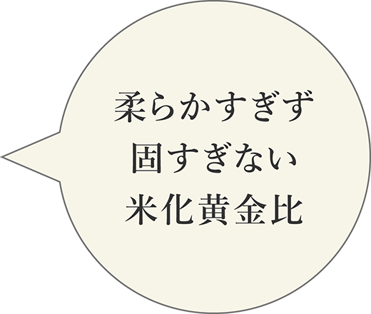 柔らかすぎず固すぎない米化黄金比